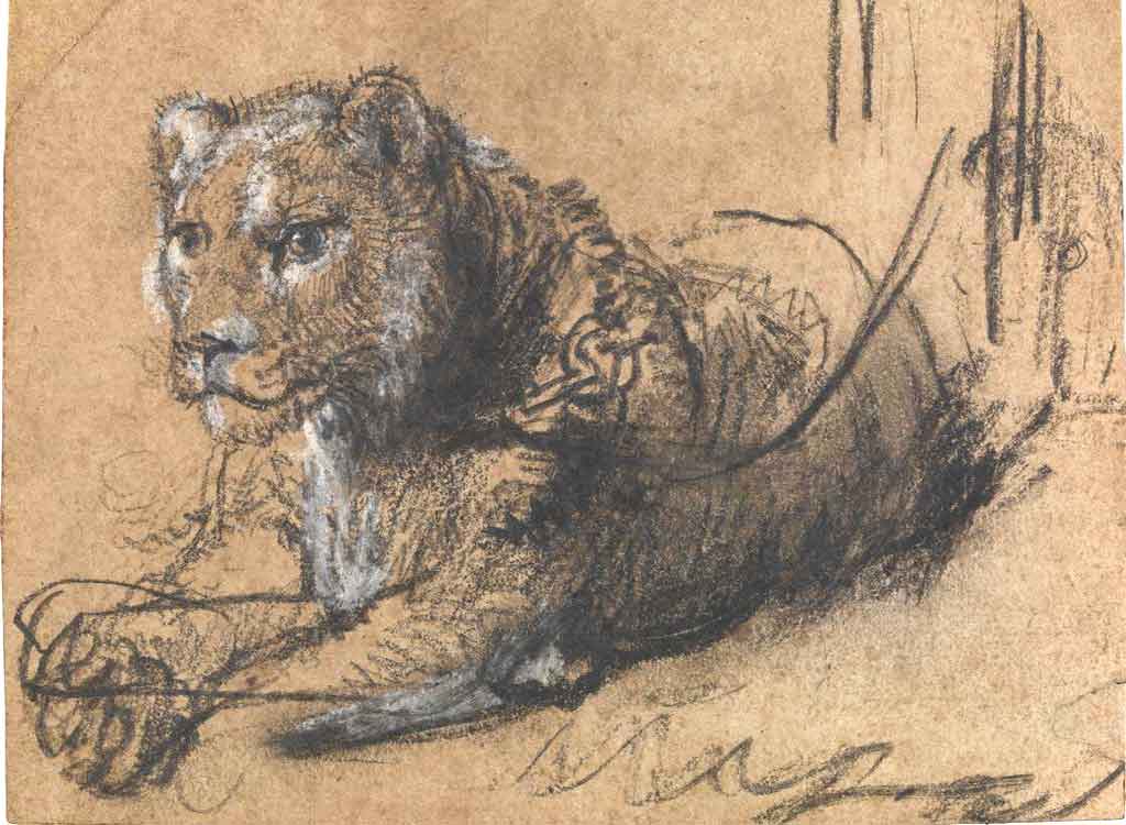 Boceto en pastel de un cachorro de león de Rembrandt 