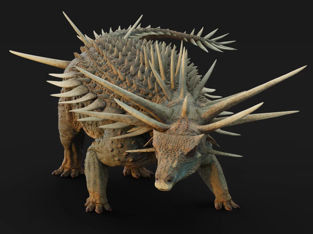 Spicomellus   