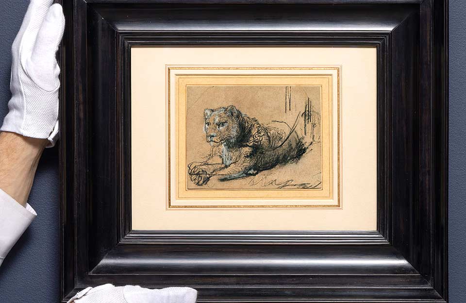 Boceto de un cachorro de león de Rembrandt